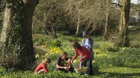 Finding hidden  treasure in your garden