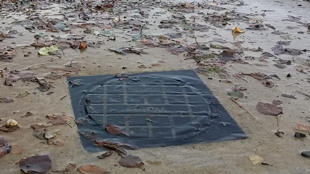Minister of State for Environment Paudie Coffey said in one case, water meter installers were held in a van for over twelve hours without access to food, water or toilet facilities. Photograph: Frank Miller