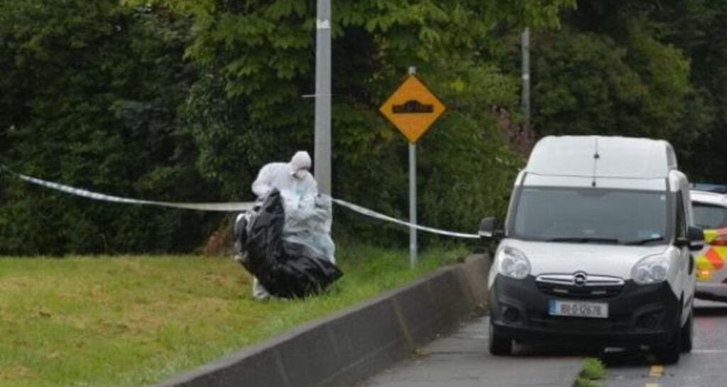 A Garda Forensic team examining a scene in Clondalkin where a woman was sexually assaulted by a group of men in July 2016. File photograph: Alan Betson/The Irish Times.