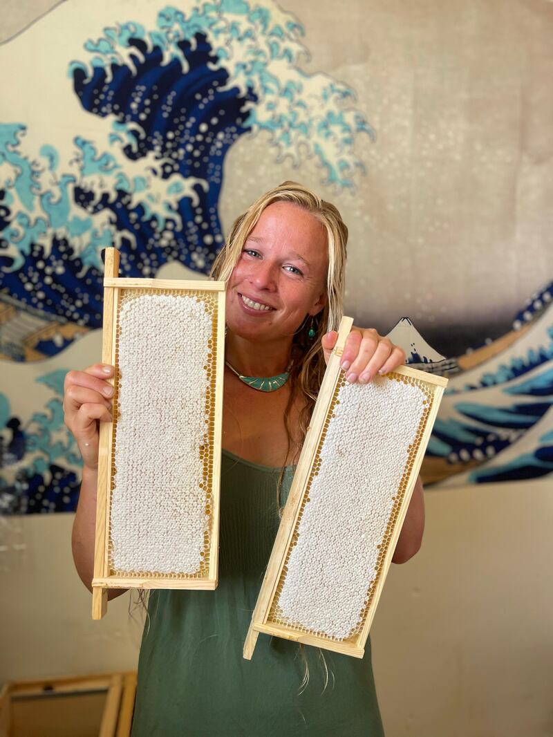 Kate Manning's immersive BeeWild Journeys introduce visitors to beekeeping and premium honey tasting