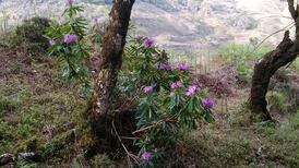 Killarney National Park’s 60th birthday: A time for deep reflection and radical reform