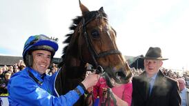 Hurricane Fly ‘stronger than ever’, says Willie Mullins
