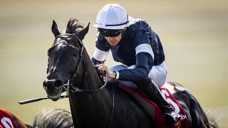 Latrobe is among Joseph O’Brien’s four runners in the Melbourne Cup. Photograph: Morgan Treacy/Inpho