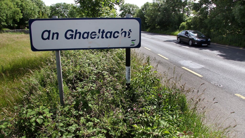 ‘There seems to be a grant for everything in this magical place.’ Photograph: Joe O’Shaughnessy