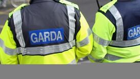 Criminals implicated in Garda leaks inquiry expected to be arrested