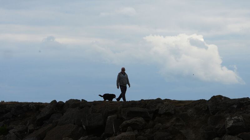 Walking a dog at the Dollymount end of the beach. Photograph: Alan Betson