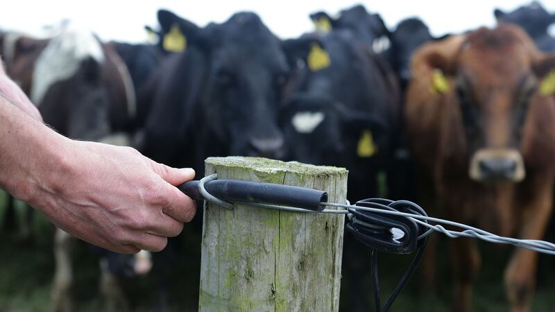 Punitive tariffs of 52 per cent on cheddar cheese would be very severe as we send half our cheese to the UK market.