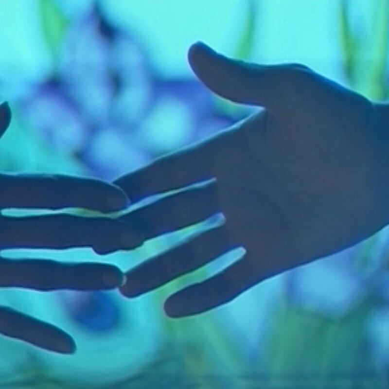 Just Don't Think I'll Scream