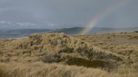 The aliens have landed