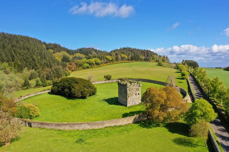 The estate includes the ruins of Kiltimon Castle