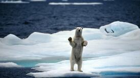 No pause in warming of oceans, new studies warn