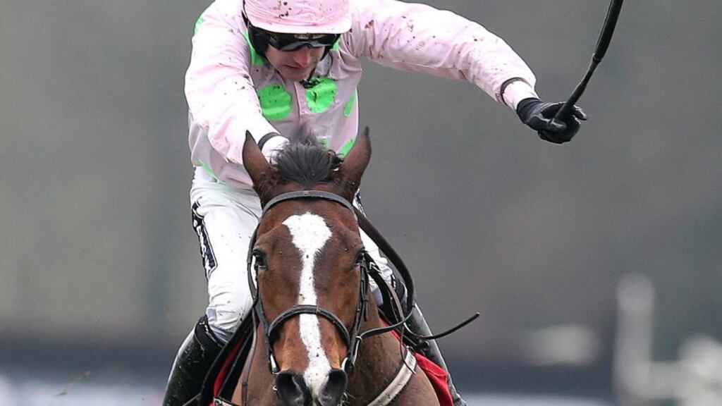 The Mullins pair of Zaidpour (above) and Twinlight scored a lucrative Grade Two double at Navan. Photograph: Inpho