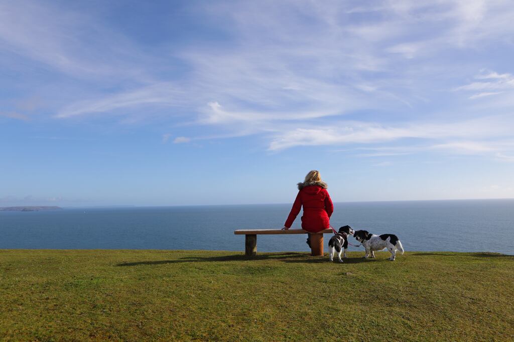 Photograph: Getty Images