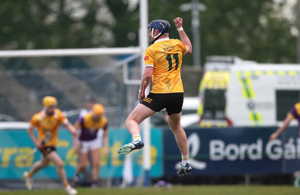 Antrim's Keelan Molloy celebrates his side scoring a goal against Wexford. Photograph: Leah Scoles/Inpho