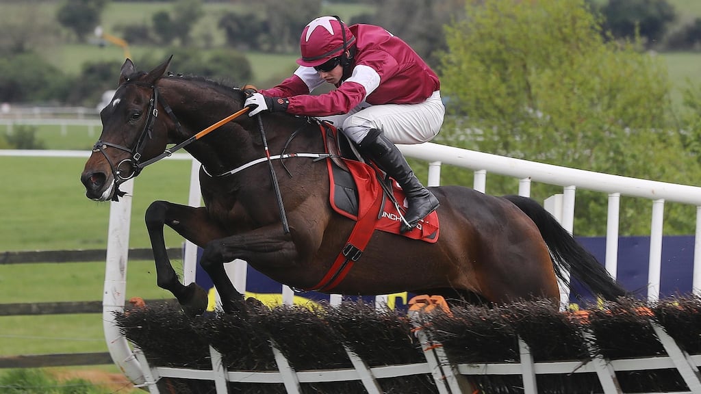 Apples Jade: will try and bounce back to form at Punchestown later this month in the Mares Champion Hurdle. Photograph: Lorraine O’Sullivan/Inpho
