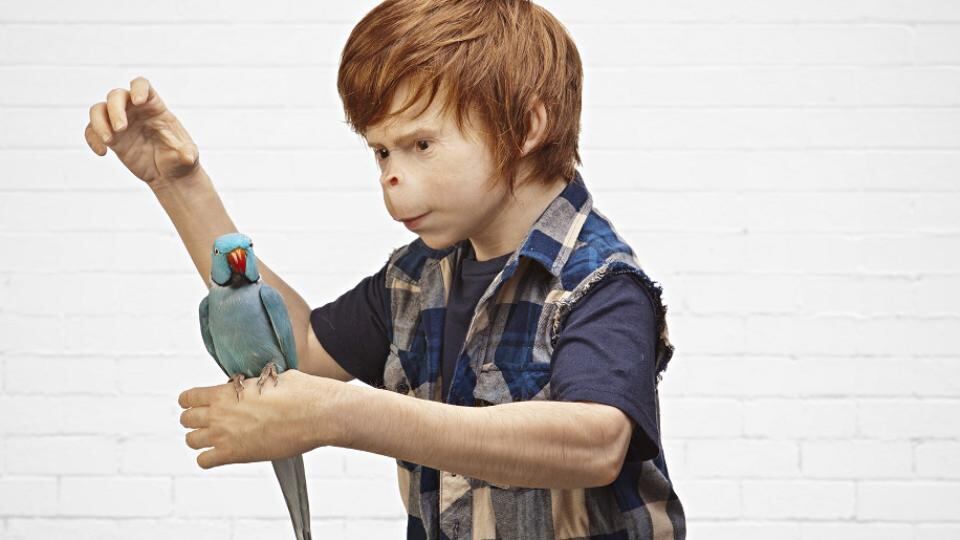 The Coup, from Patricia Piccinini’s exhibition Relativity