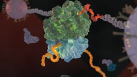 TCD-led team’s breakthrough could aid Alzheimer’s treatment