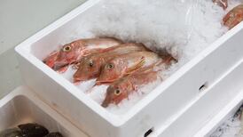 Government taskforce to look at treatment of fishing fleet workers