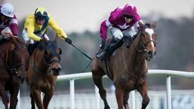 Gordon Elliott hopes rain will let Don Poli shine at Down Royal