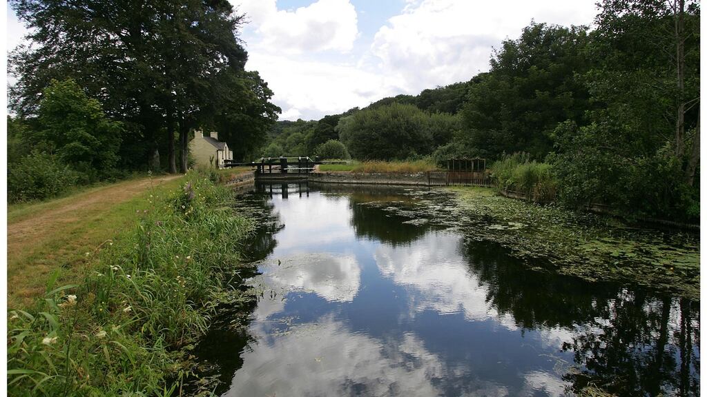 Climate change is contributing to the unprecedented decline of wild salmon in Irish rivers. File photograph: Bryan O’Brien