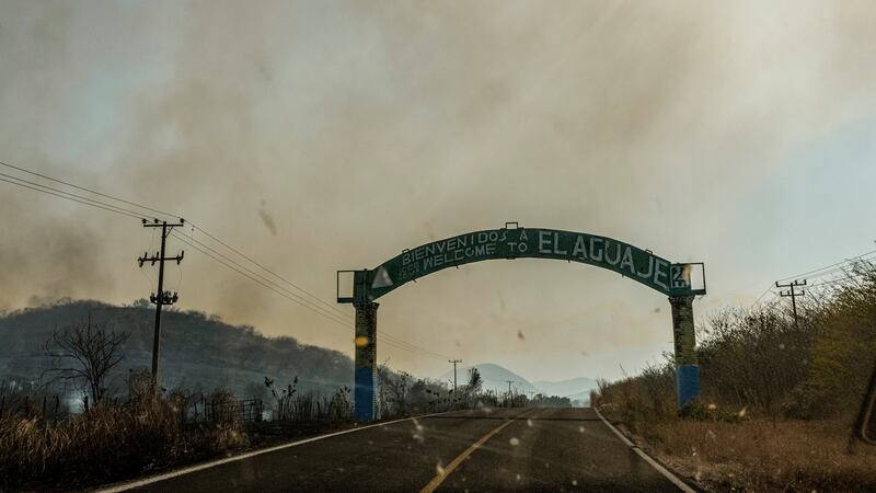 Fields burn due to arson alongside the road toward El Aguaje in Tancitaro, Michoacán, Mexico. Photograph: Daniel Berehulak/New York Times