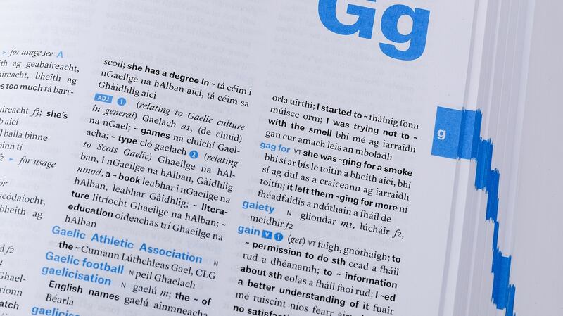 Tá sé i gceist dhá mhórfhoclóir nua a fhoilsiú, foclóir aonteangach Gaeilge agus foclóir nua Gaeilge-Béarla.