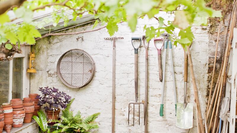 It's a good time for preparing essential gardening tools like spades, forks, shovels and hoes. Photo: Getty