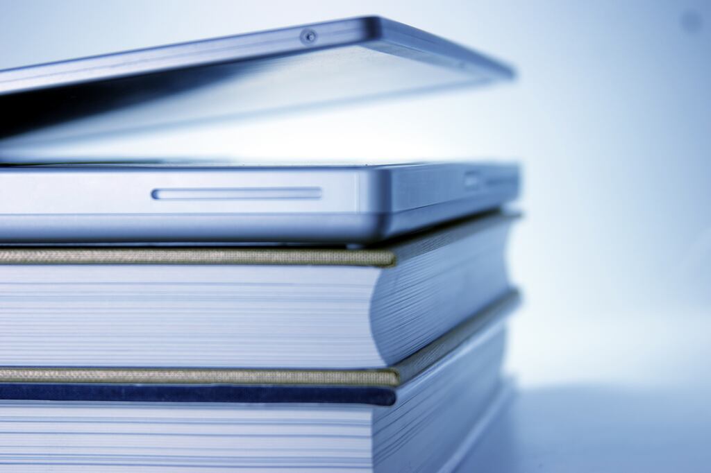 Online learning platforms made education more accessible as a result of the Covid-19 pandemic, overcoming geographical barriers and allowing individuals to access quality education remotely. Photograph: iStockphoto.