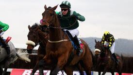 The Sweeneys ready to swoop on festival again