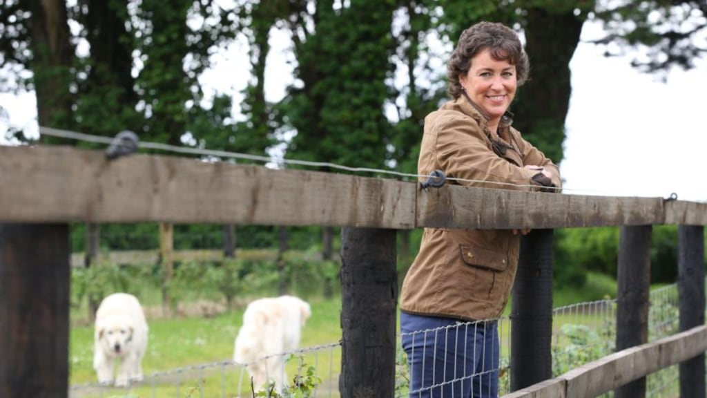 Margaret Jeffares of Good Food Ireland: ‘I don’t think we should forget our traditional and regional dishes that are indigenous to our country’. Photograph: Patrick Browne