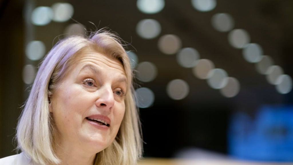 Austrian MEP Evelyn Regner.