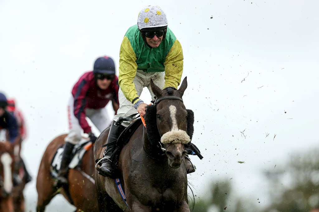 The drug found in Nibiru's system is not permitted on race day, and the published detection time for it is five days. Photograph: Laszlo Geczo/Inpho