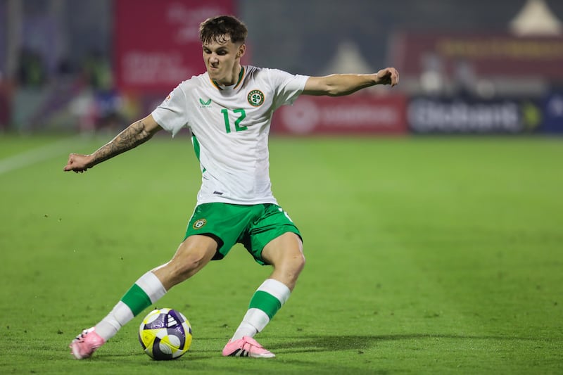 Ireland's Ryan Butler. Photograph: Inpho