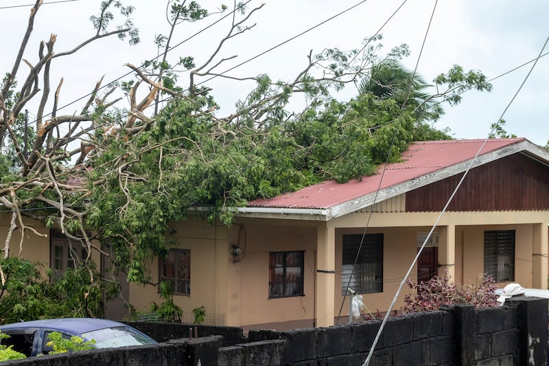 A tree lies on the roof of a house in Kingstown, St Vincent and the Grenadines, after Hurricane Beryl. Photograph: Lucanus Ollivierre/AP