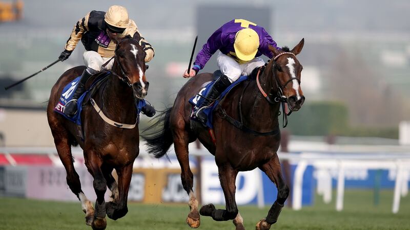 Lord Windermere ridden by Davy Russell enjoyed his best day when winning the 2014 Cheltenham Gold Cup. Photo: Dan Sheridan/Inpho