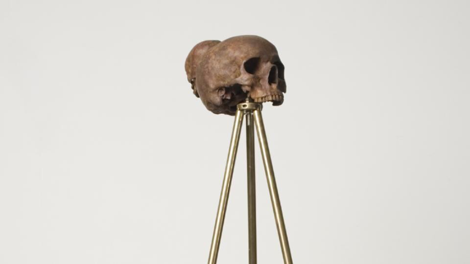 Sapiens (2007), cast bronze skull and antique brass tripod