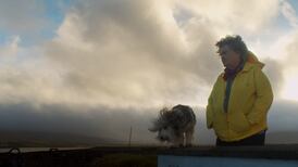 Four new films to see this week: The Swallow, Steve, Girls & Boys, A Big Bold Beautiful Journey