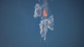 Planet Business: Copycat layoffs, hallucinations and other words of the year