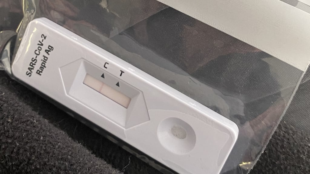 A spokeswoman for Tesco confirmed that they too have seen ‘an increase in demand’ for antigen tests over recent days. Photograph: NIck Bradshaw/The Irish Times