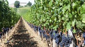 Staying in? It's the season for warm, mature reds