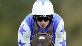 Punters happy to take chance with racing clubs and syndicates