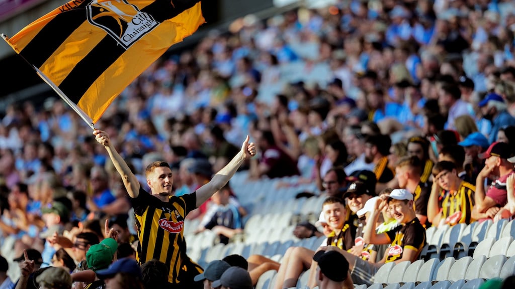 A Kilkenny fan celebrates a score  during the Leinster SHC Final at Croke Park. Photograph: Brian Reilly-Troy/Inpho