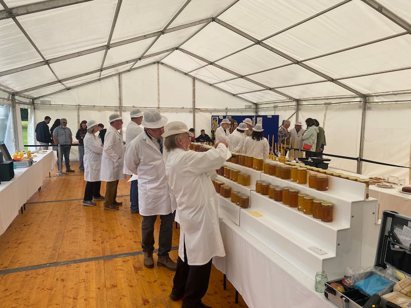 Judges inspect the honey at the Phoenix Park show. Photograph: Cian O'Connell