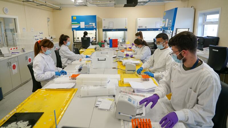Testing for Covid-19 at the NVRL Satellite Laboratory in Backweston Co Kildare. Photograph: Enda O’Dowd