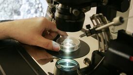 New awards scheme launched for biomedical research