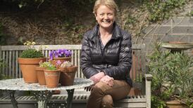 The new rock garden: petite plants are perfect for small space living