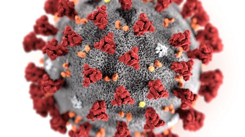 An  illustration created  by the Centres for Disease Control and Prevention (CDC) in Atlanta, Georgia, USA on Friday  revealing ultrastructural morphology exhibited by the 2019 Novel Coronavirus (2019-nCoV).