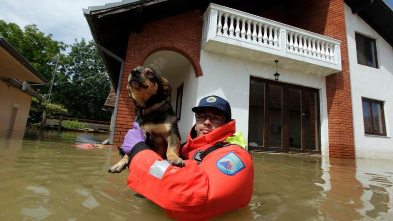 A Slovenian Civil Protection rescue worker saves a dog during heavy floods in the village of Prud today. Photograph: Srdjan Zivulovic/Reuters