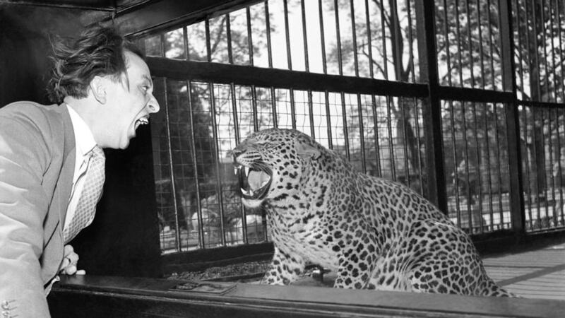 Inventively surreal: Ken Dodd with a leopard at Bristol Zoo in 1957. Photograph: PA Wire