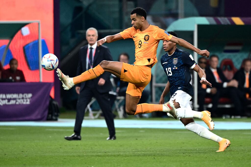 Cody Gakpo in action for the Netherlands against Ecuador. 'I know what I’m capable of but it’s always a challenge to reach your highest level. I’m not there yet,' said the PSV Eindhoven star. Photograph: Jewel Samad/AFP/via Getty Images